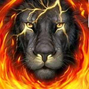 Meet your Posher, Ty